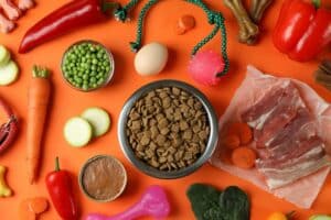 Hydrolyzed Protein Dog Food